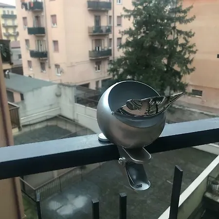 Gipsy Verona